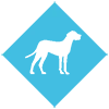 button icon